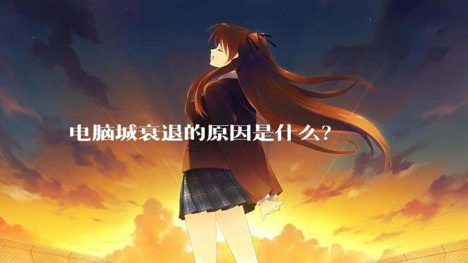 电脑城衰退的原因是什么？