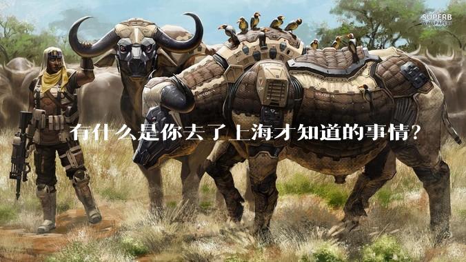 有什么是你去了上海才知道的事情？