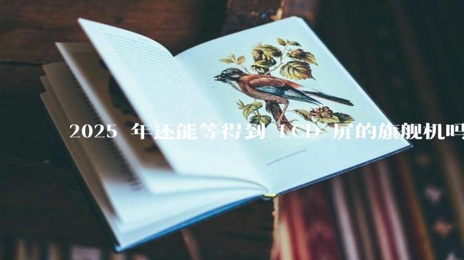 2025 年还能等得到 LCD 屏的旗舰机吗？