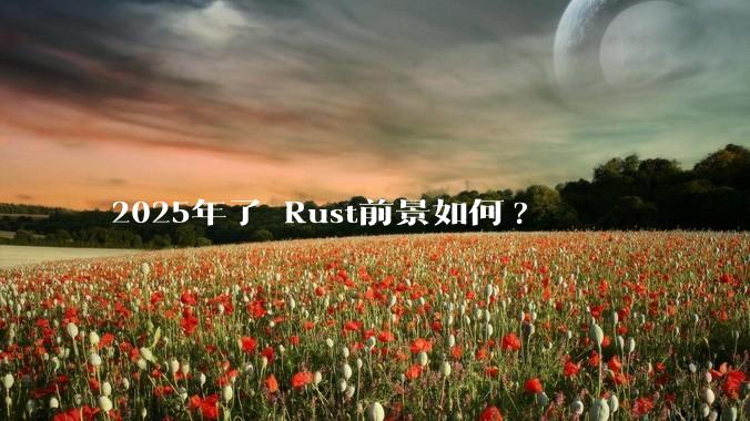 2025年了 Rust前景如何?