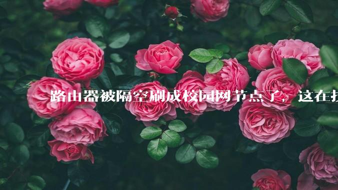 路由器被隔空刷成校园网节点了，这在技术上是怎么实现的？