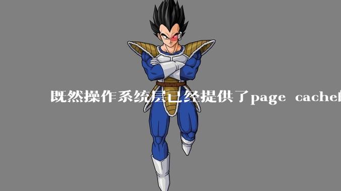 既然操作系统层已经提供了page cache的功能，为什么还要在应用层加缓存？