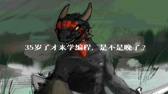 35岁了才来学编程，是不是晚了?
