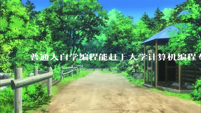普通人自学编程能赶上大学计算机编程专业的水平吗？