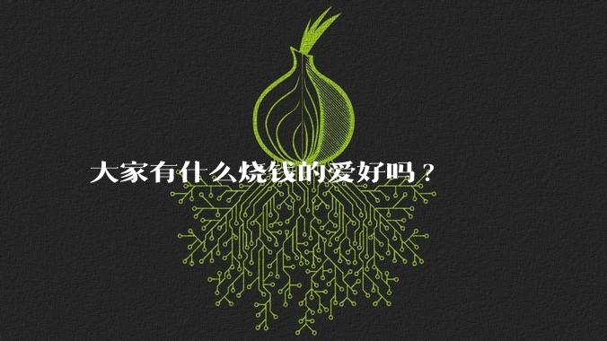 大家有什么烧钱的爱好吗?