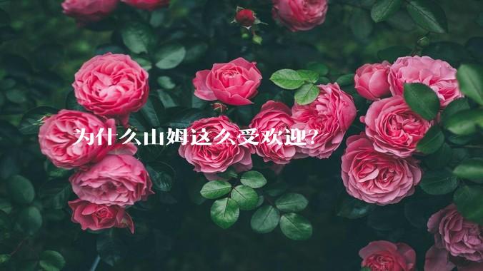 为什么山姆这么受欢迎？