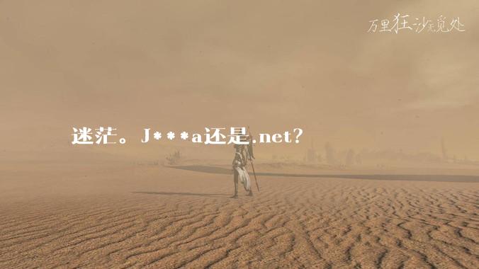 迷茫。J***a还是.net？