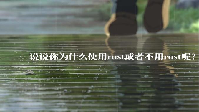 说说你为什么使用rust或者不用rust呢？