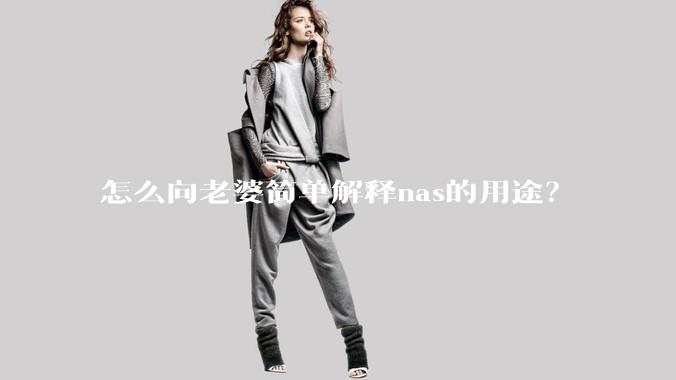 怎么向老婆简单解释nas的用途？