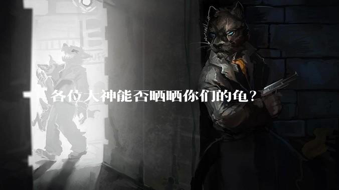 各位大神能否晒晒你们的龟？