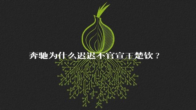 奔驰为什么迟迟不官宣王楚钦?