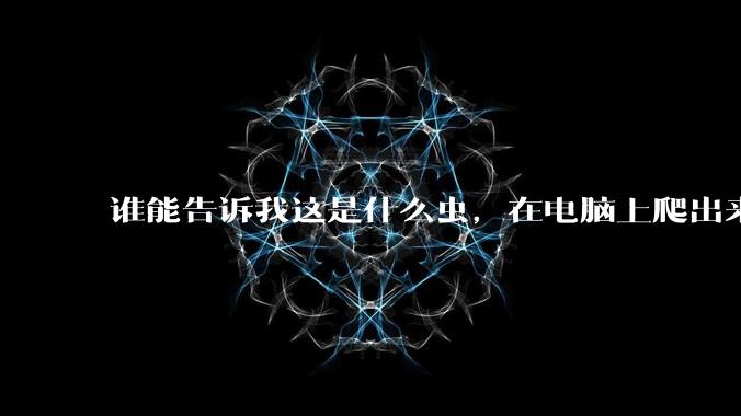 谁能告诉我这是什么虫，在电脑上爬出来吓死我了 ?
