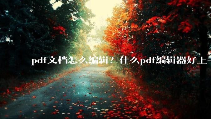 pdf文档怎么编辑？什么pdf编辑器好上手？