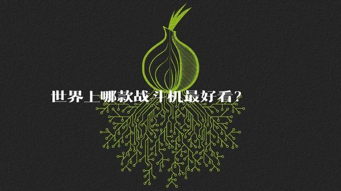 世界上哪款战斗机最好看？