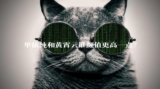 单依纯和黄霄云谁颜值更高一点？