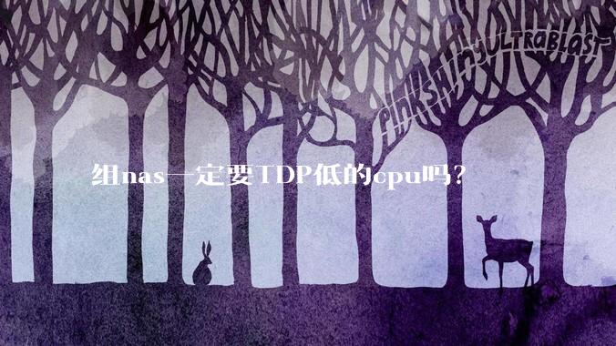 组nas一定要TDP低的cpu吗？