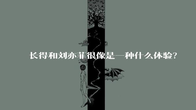 长得和刘亦菲很像是一种什么体验？
