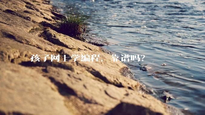 孩子网上学编程，靠谱吗？