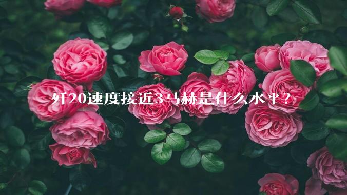歼20速度接近3马赫是什么水平？