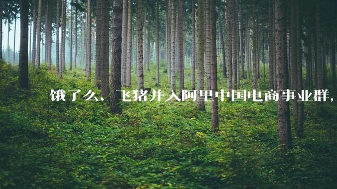 饿了么、飞猪并入阿里中国电商事业群，两公司 CEO 均向蒋凡汇报，如何看待这一调整？