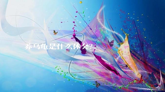 养乌龟是什么体会？