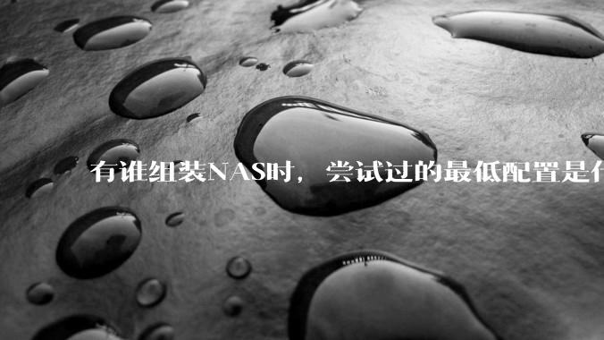 有谁组装NAS时，尝试过的最低配置是什么？