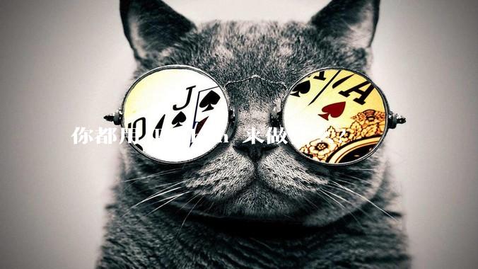 你都用 Python 来做什么？