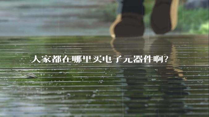 大家都在哪里买电子元器件啊？
