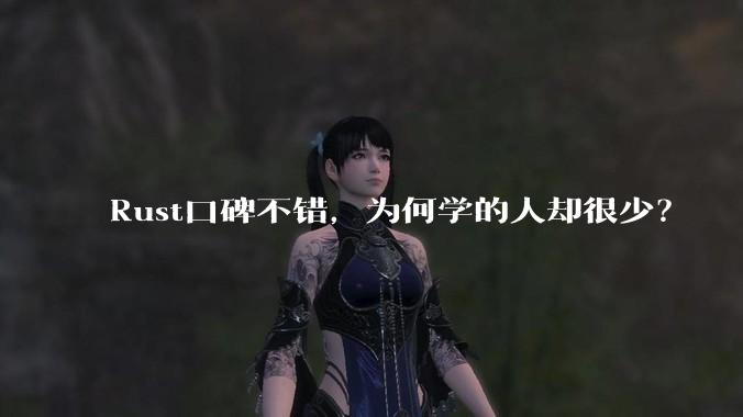 Rust口碑不错，为何学的人却很少？