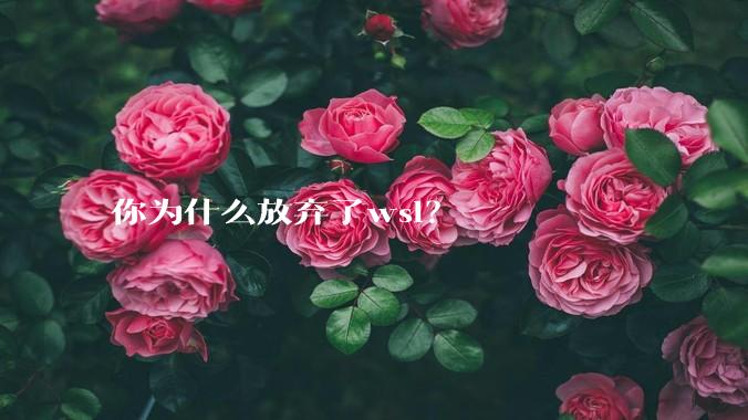 你为什么放弃了wsl？