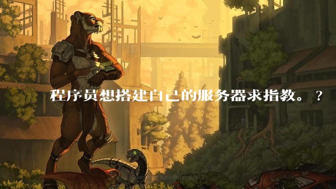 程序员想搭建自己的服务器求指教。?