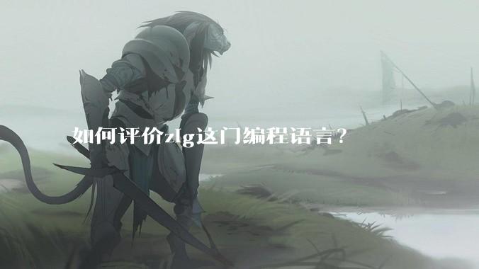 如何评价zig这门编程语言？