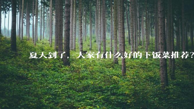 夏天到了，大家有什么好的下饭菜推荐？