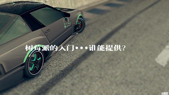 树莓派的入门***谁能提供？