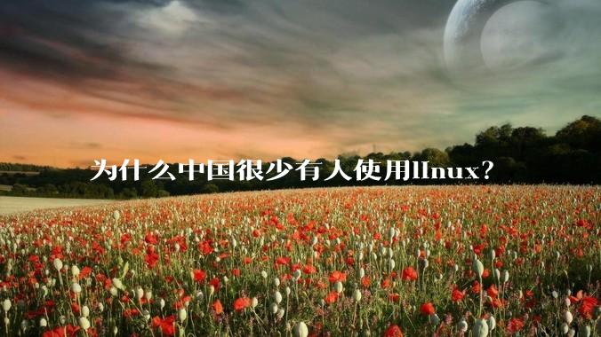 为什么中国很少有人使用linux？