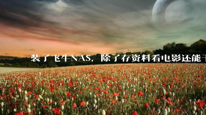 装了飞牛NAS，除了存资料看电影还能干什么？