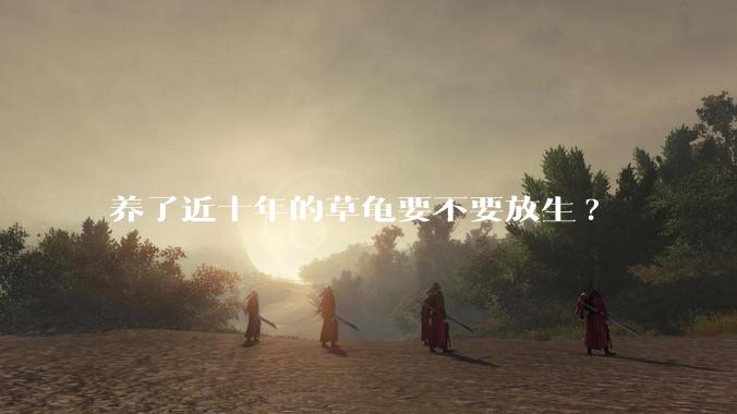 养了近十年的草龟要不要放生?