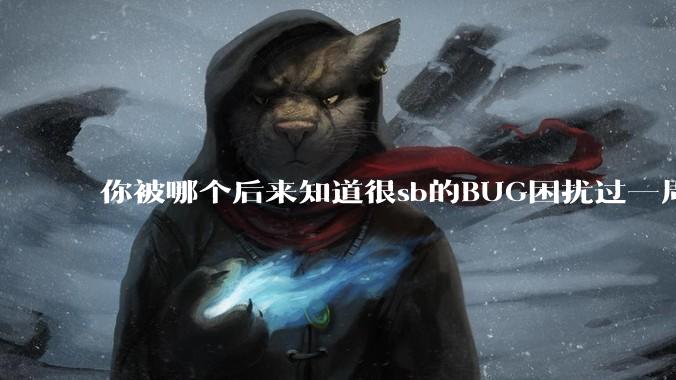 你被哪个后来知道很sb的BUG困扰过一周以上吗？