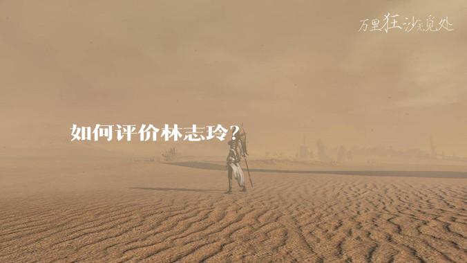 如何评价林志玲？