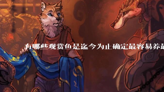 有哪些观赏鱼是迄今为止确定最容易养最不容易死的？