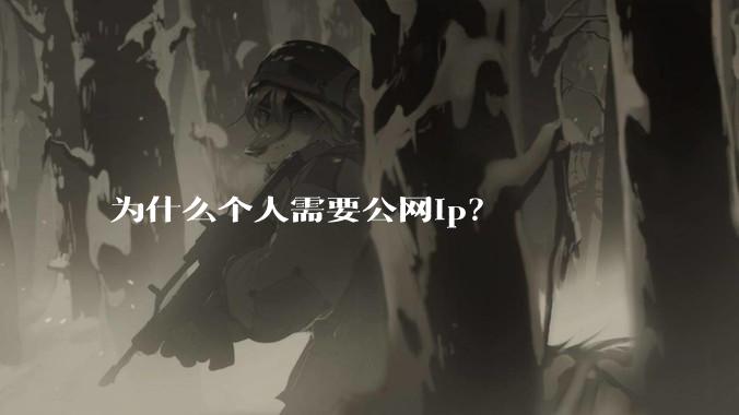 为什么个人需要公网ip？