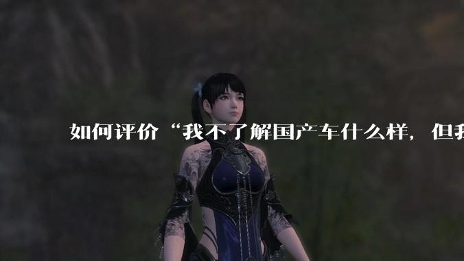 如何评价“我不了解国产车什么样，但我了解中国人什么样”这一观点？
