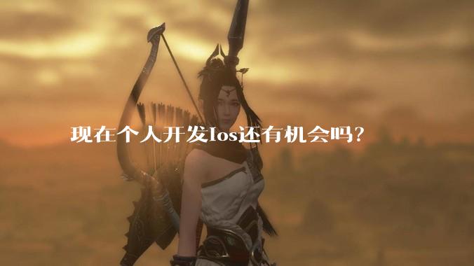 现在个人开发ios还有机会吗？