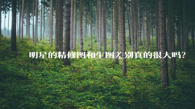 明星的精修图和生图差别真的很大吗？