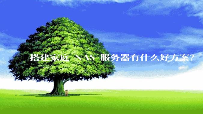 搭建家庭 NAS 服务器有什么好方案？
