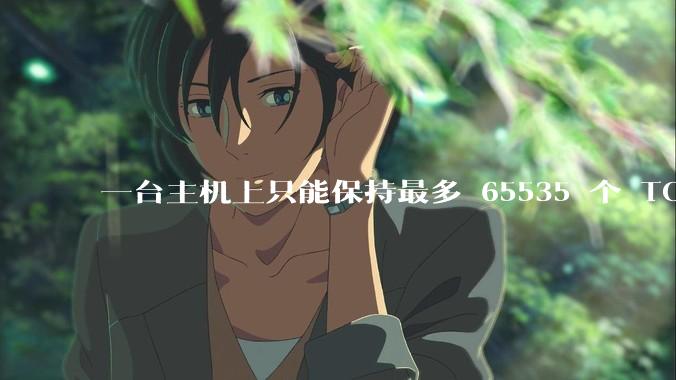 一台主机上只能保持最多 65535 个 TCP 连接吗？