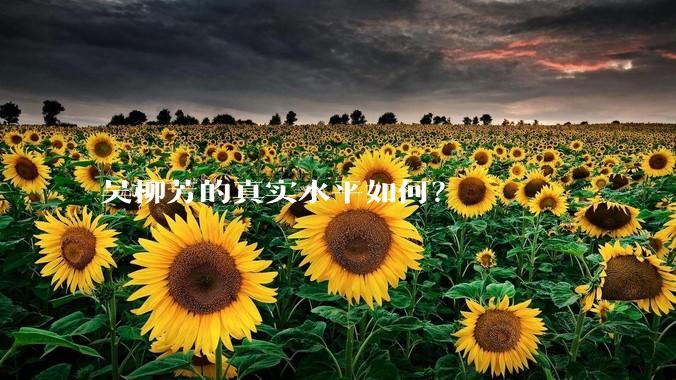 吴柳芳的真实水平如何？