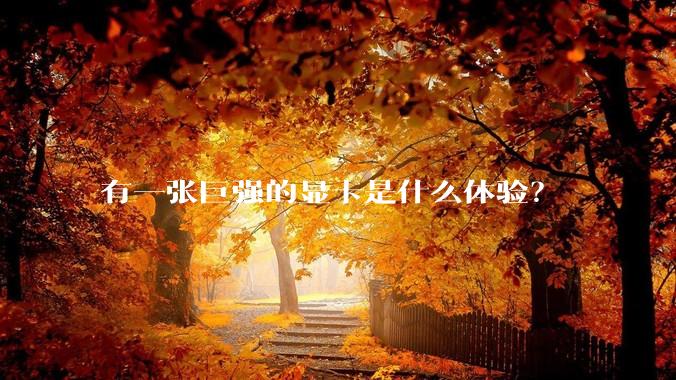 有一张巨强的显卡是什么体验？