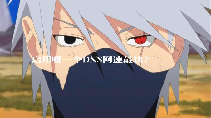 启用哪一个DNS网速最快？