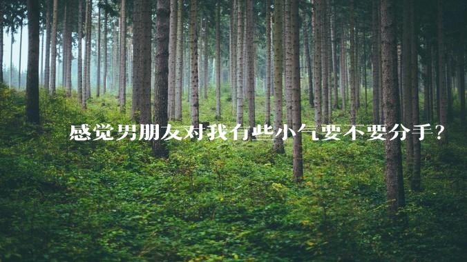 感觉男朋友对我有些小气要不要分手？